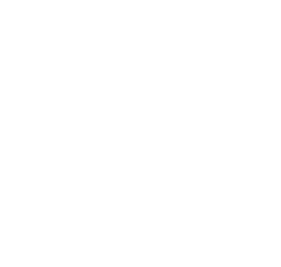 Phương thức thanh toán Vmax