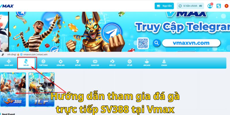 Hướng dẫn tham gia đá gà trực tiếp SV388 tại Vmax