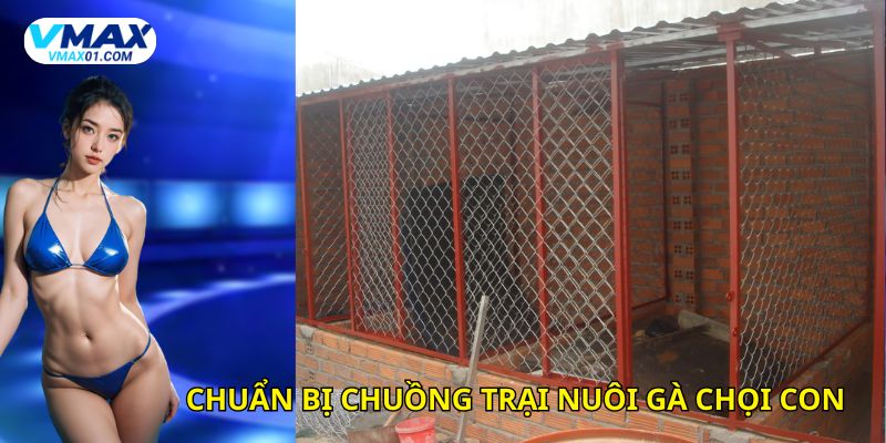 Chuẩn bị chuồng trại chăm sóc gà chọi con