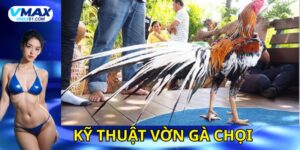 Kỹ thuật vờn gà chọi