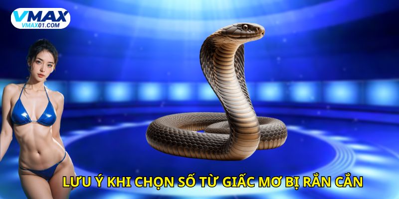 Lưu ý khi chọn số từ giấc mơ bị rắn cắn
