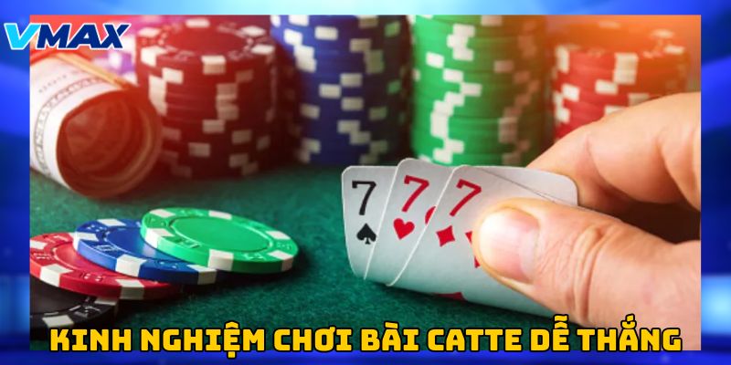 Kinh nghiệm chơi catte từ các cao thủ cá cược