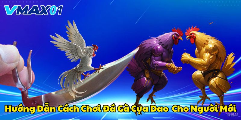 Hướng dẫn cách chơi đá gà cựa dao cho người mới