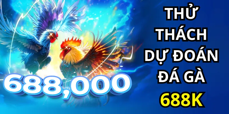 Thử thách dự đoán đá gà 688K